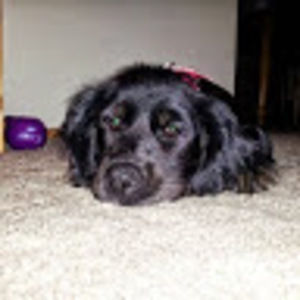 Meet your Posher, Karina